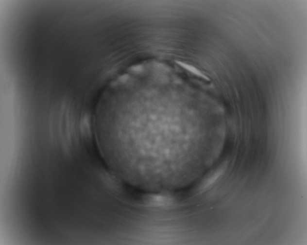 X0000092070286200709262051