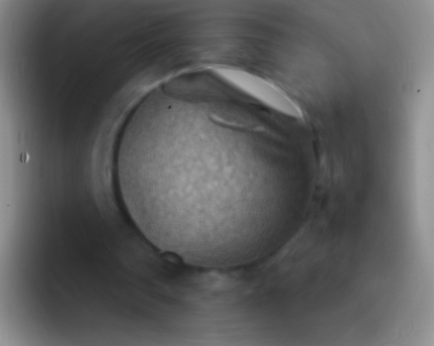 X0000092070290200709262051