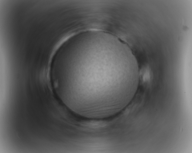 X0000092070292200709262051
