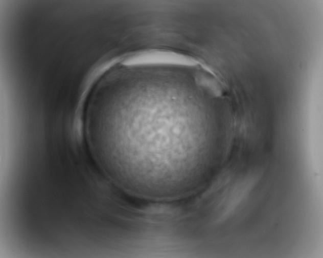 X0000092070294200709262051