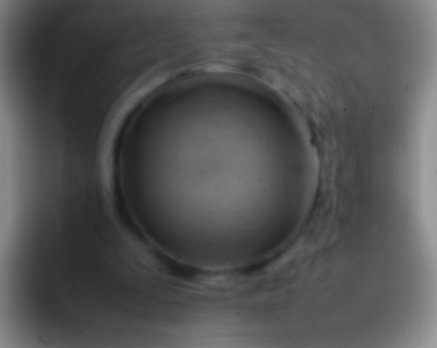 X0000092070295200709262051
