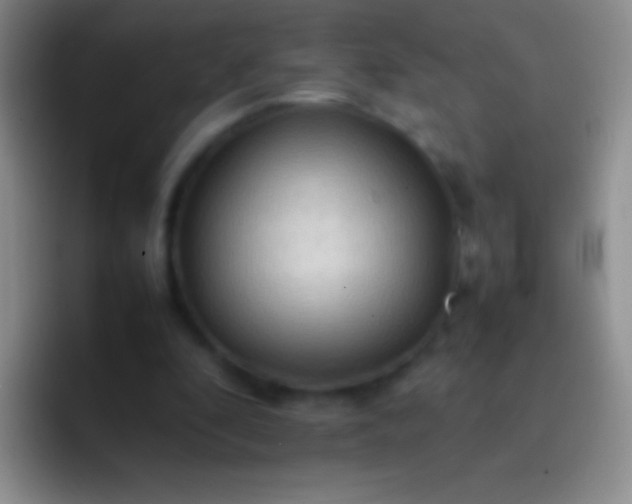 X0000092070296200709262051