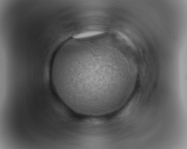 X0000092070299200709262051