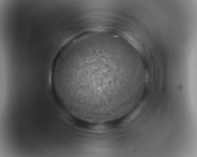 X0000092070301200709262051