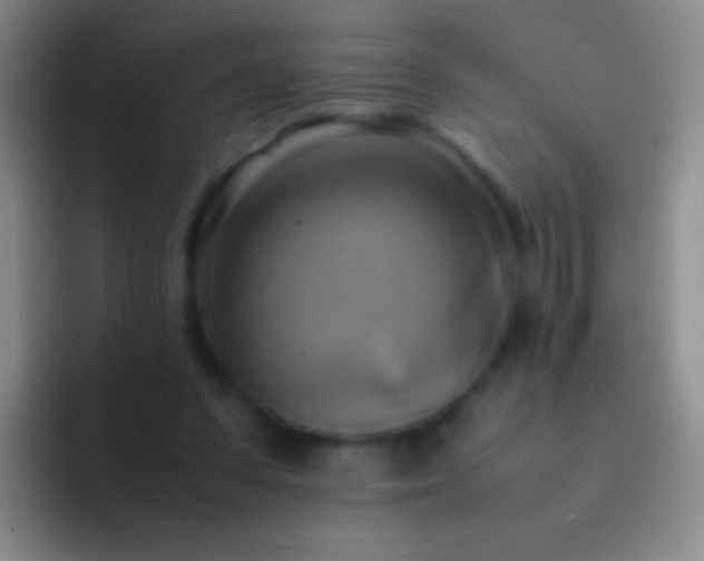 X0000092070303200709262051