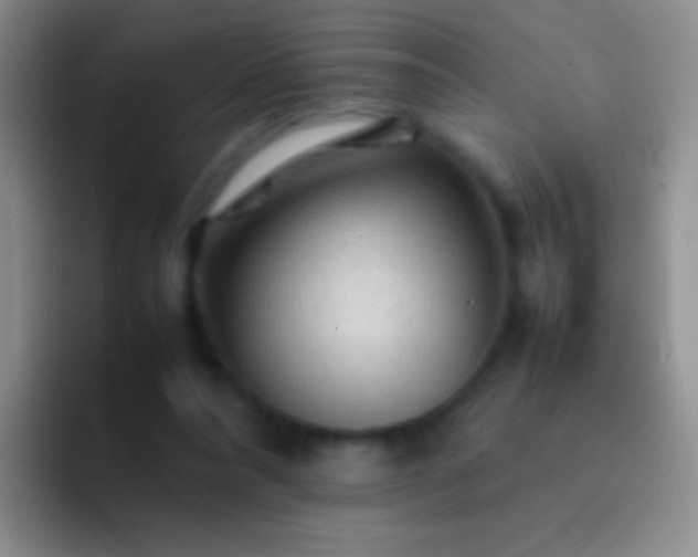 X0000092070304200709262051