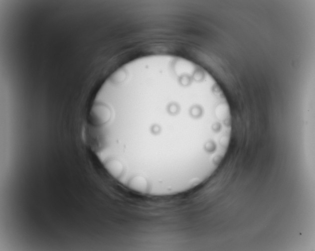 X0000092070307200709262051