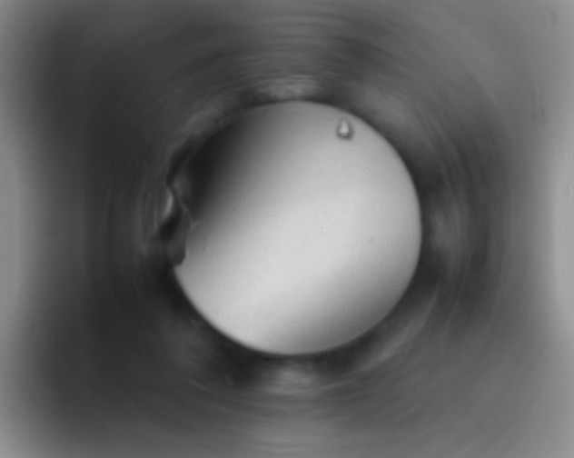 X0000092070308200709262051