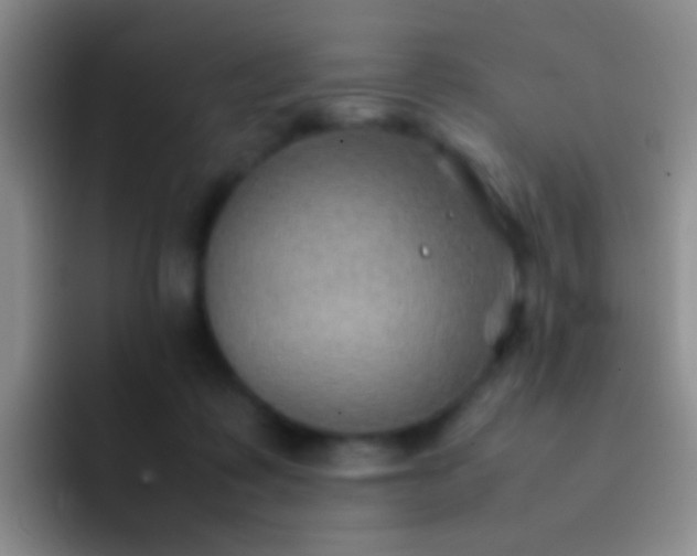 X0000092070315200709262050