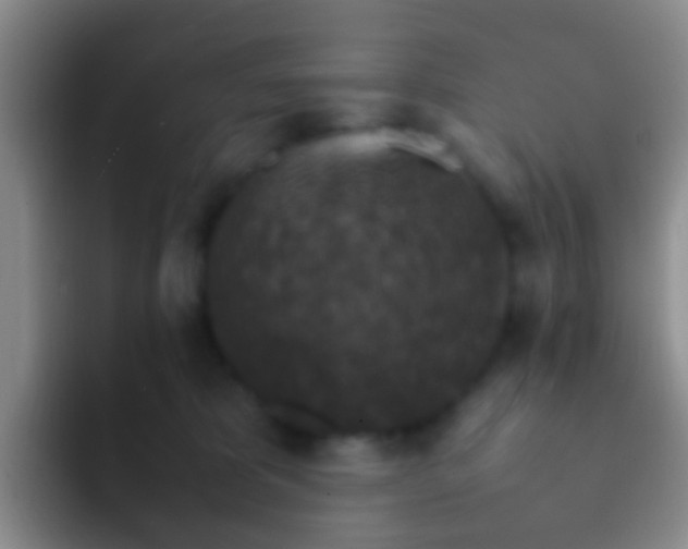 X0000092070325200709262050