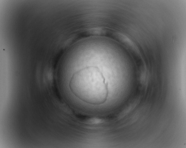 X0000092070326200709262050