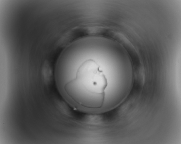 X0000092070327200709262050