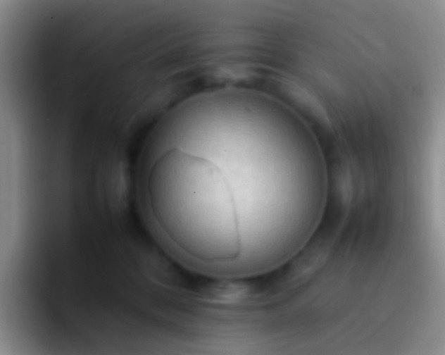 X0000092070328200709262050