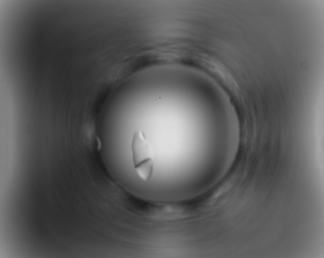 X0000092070329200709262050