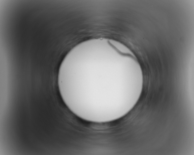 X0000092070331200709262050