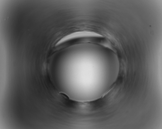 X0000092070333200709262050