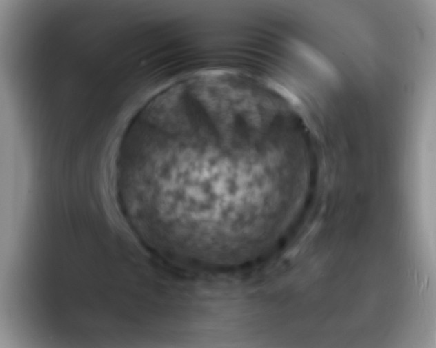 X0000092070337200709262050