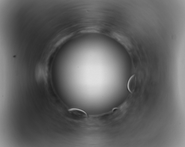 X0000092070338200709262050
