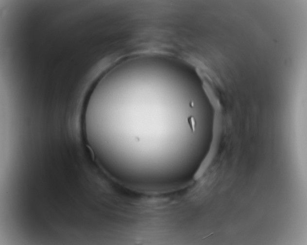 X0000092070340200709262050