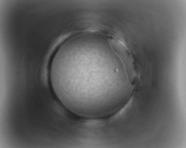 X0000092070342200709262050