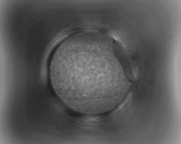 X0000092070343200709262050