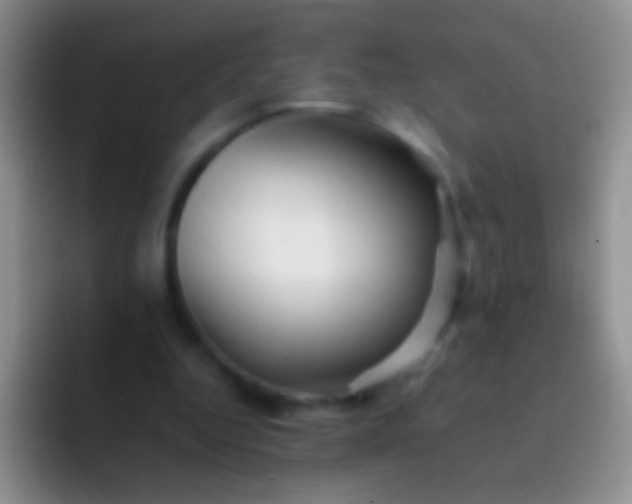 X0000092070344200709262050