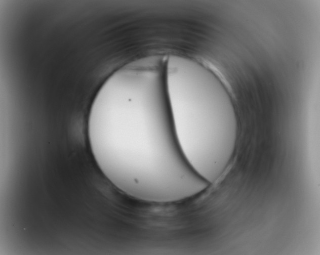 X0000092070345200709262050