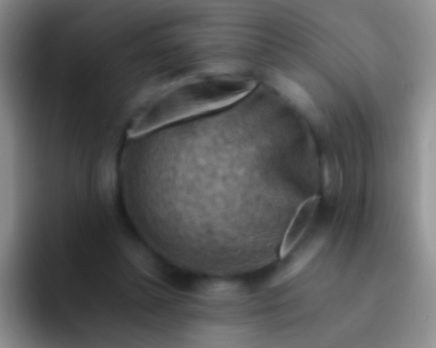 X0000092070348200709262050