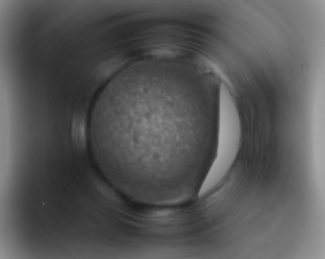 X0000092070349200709262050
