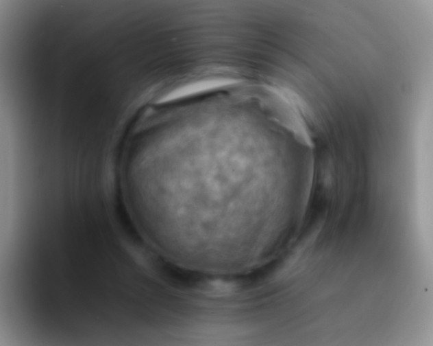 X0000092070352200709262050