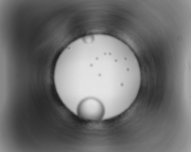 X0000092070354200709262050