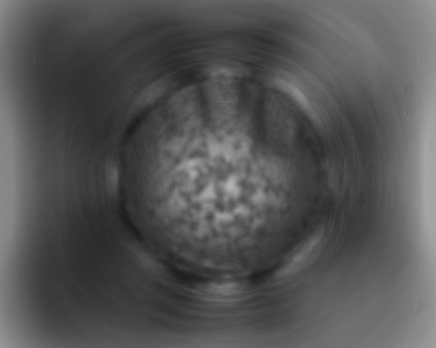 X0000092070357200709262050
