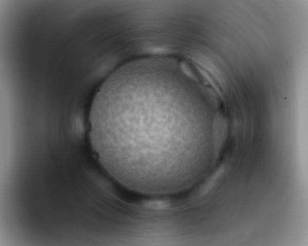 X0000092070358200709262050