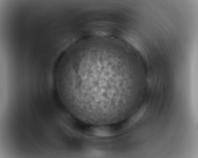 X0000092070359200709262050