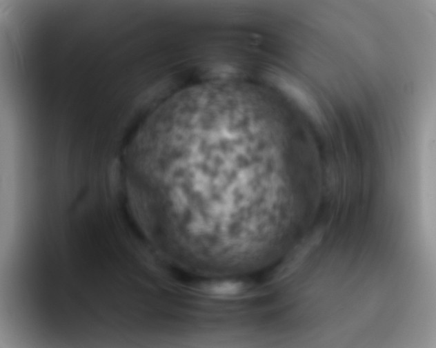 X0000092070361200709262050