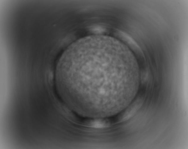 X0000092070365200709262050