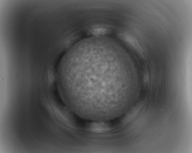X0000092070367200709262050