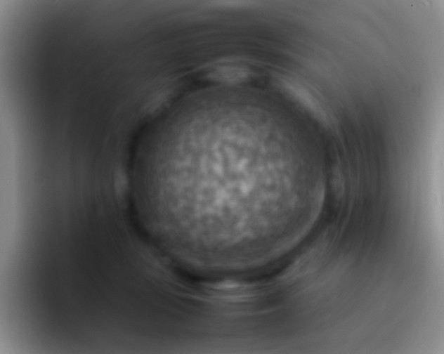 X0000092070371200709262050