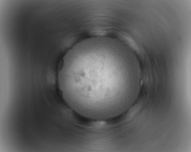X0000092070374200709262050