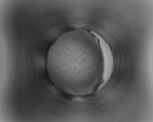 X0000092070380200709262050