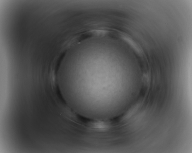 X0000092070381200709262050