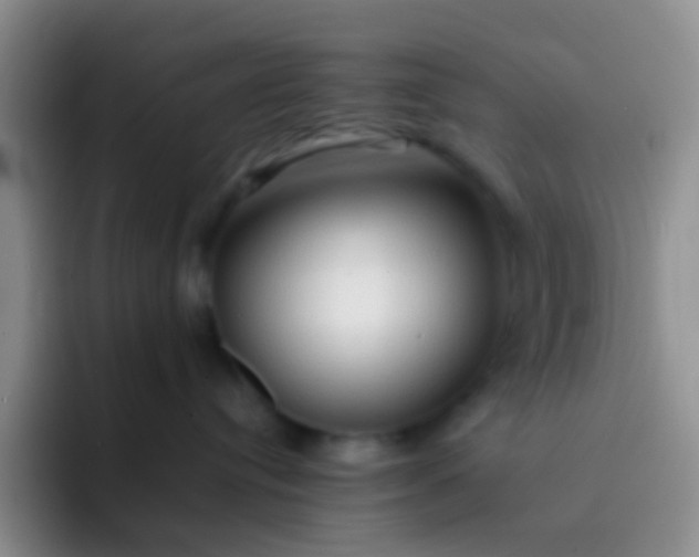 X0000092070384200709262050