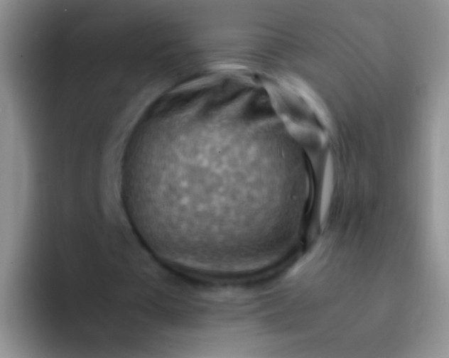 X0000092070385200709262050