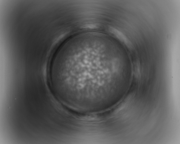 X0000092070386200709262050