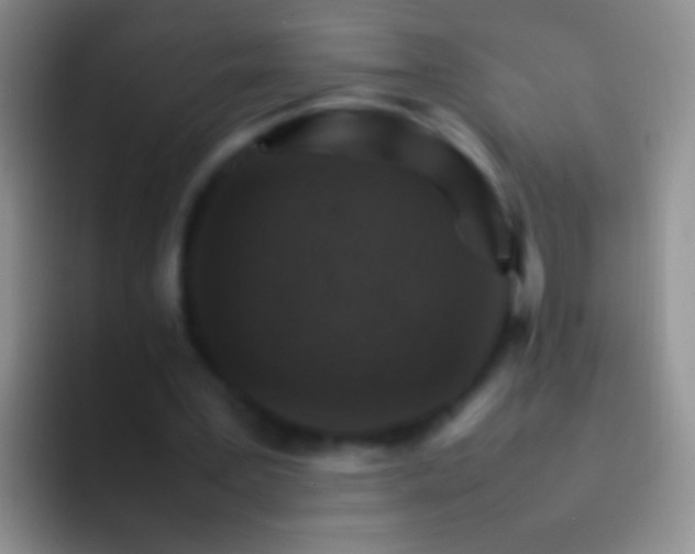 X0000092070387200709262050