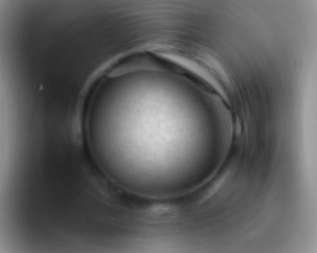 X0000092070388200709262050