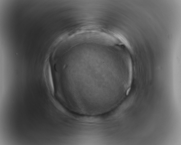 X0000092070389200709262050