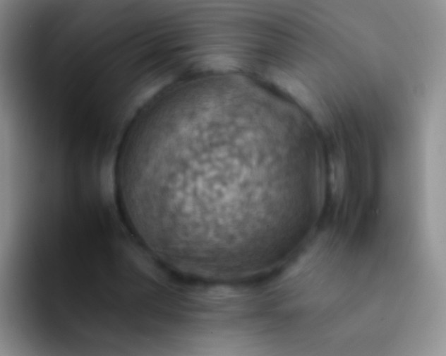 X0000092070390200709262050