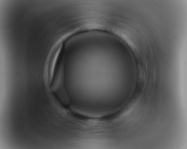 X0000092070391200709262050