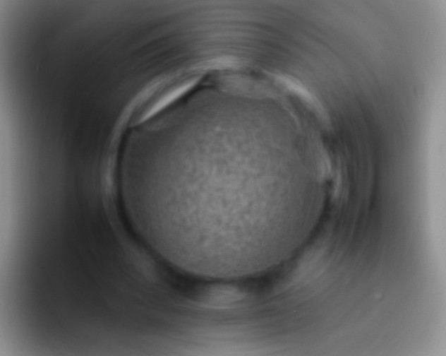 X0000092070392200709262050